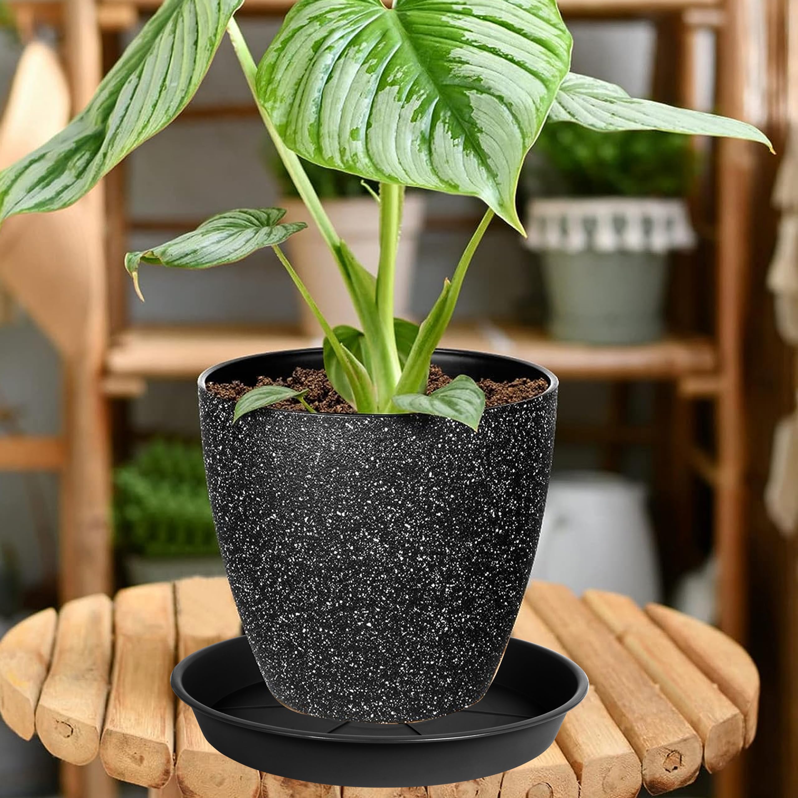 OVZILKI bird-lover gift idea saucer is a thoughtful garden accessory.