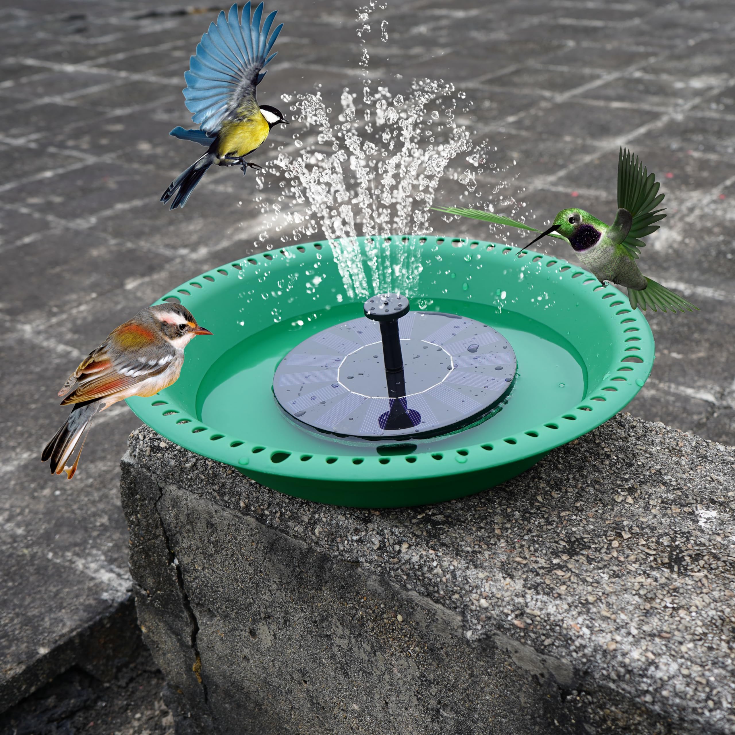 OVZILKI bird bath multi-bird friendly design