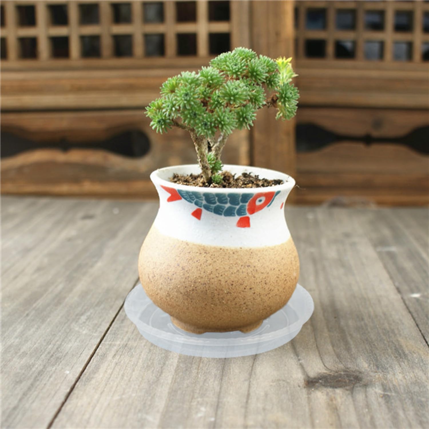 OVZILKI clear plant saucer 10-inch for big planters, keeps floors dry