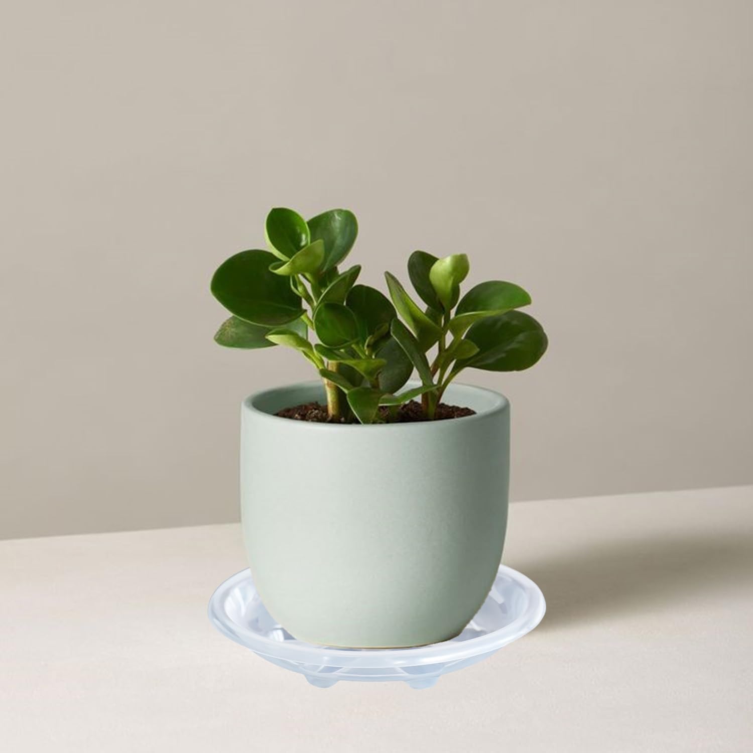 OVZILKI 8 inch in use with plant tidy drip tray protects surfaces