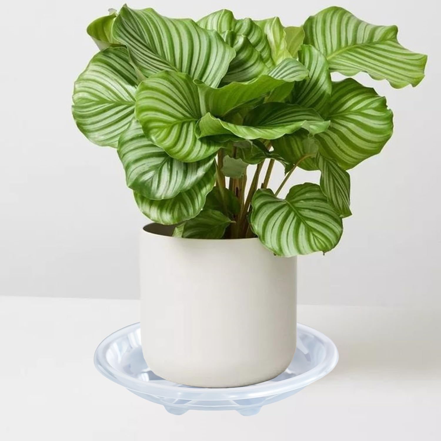 OVZILKI 8 inch saucer for indoor outdoor use sturdy and reusable