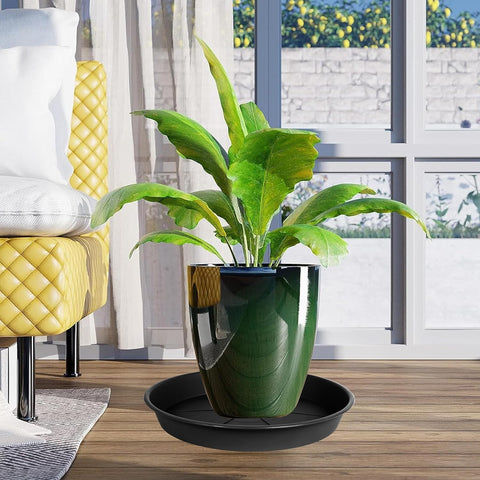 OVZILKI plant saucer indoor use: neat, clean setup under houseplants.