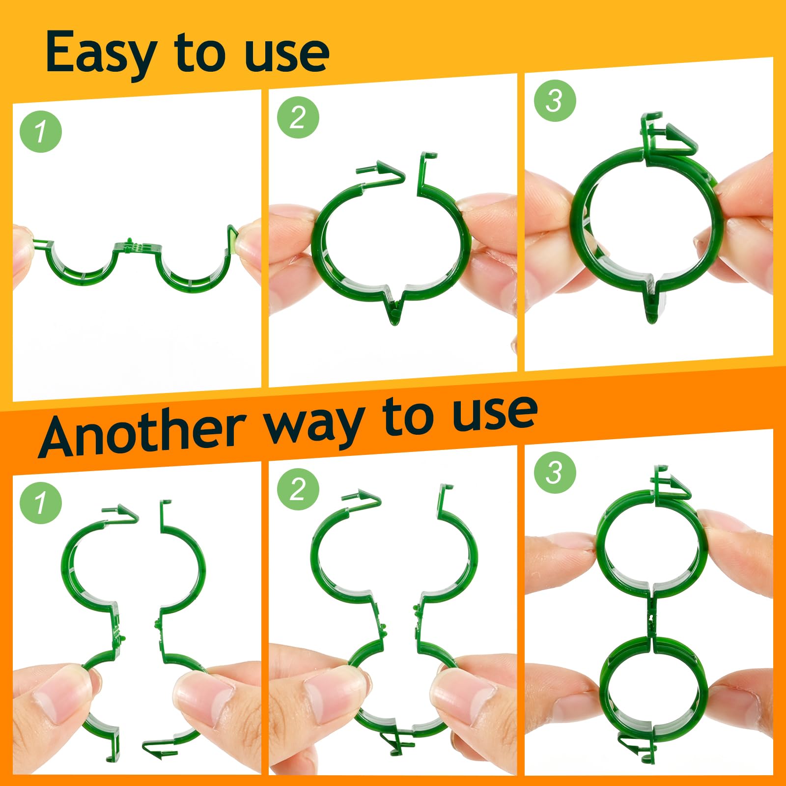 Owandan cucumber clips training vines along supports for tidy growth.