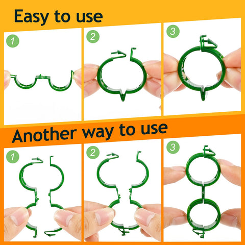 Owandan cucumber clips training vines along supports for tidy growth.