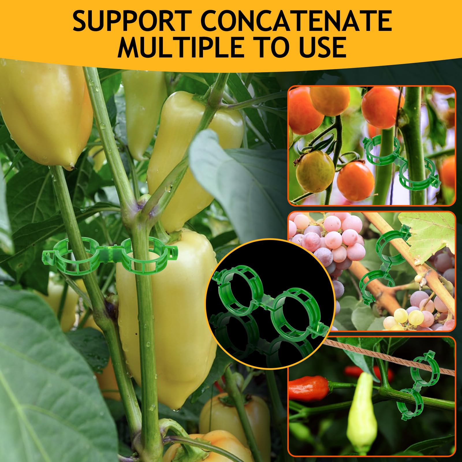 Owandan orchid and rose clips stabilize delicate stems in a greenhouse.