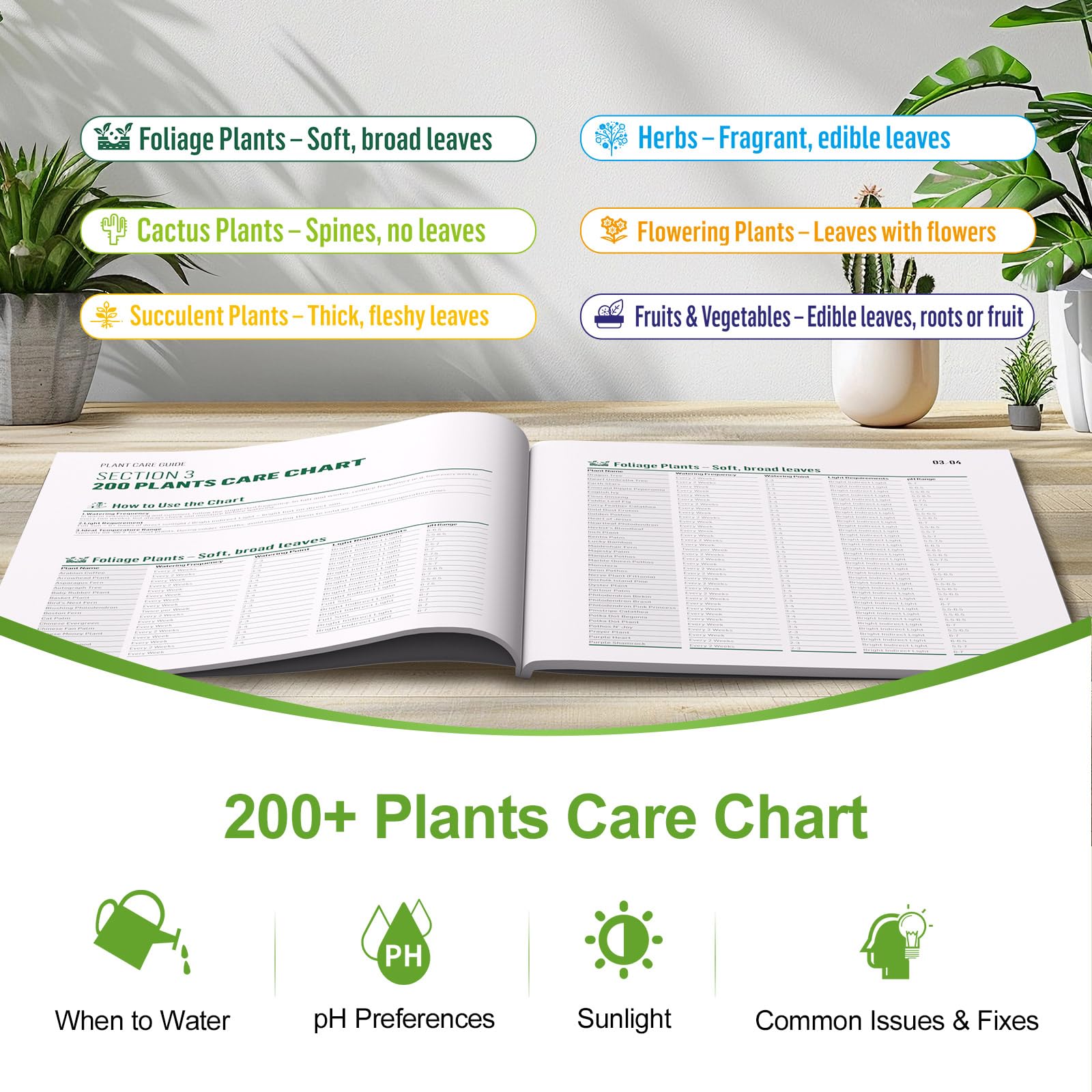 Owldacious indoor-outdoor usage image highlights versatile plant care at home.