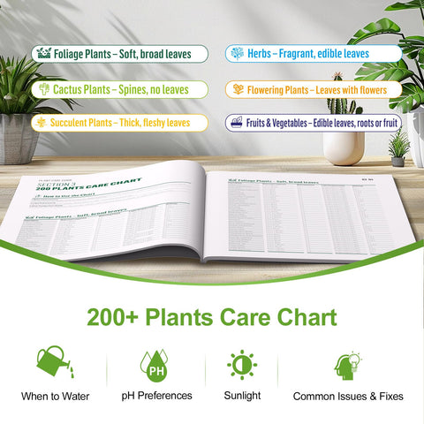 Owldacious indoor-outdoor usage image highlights versatile plant care at home.