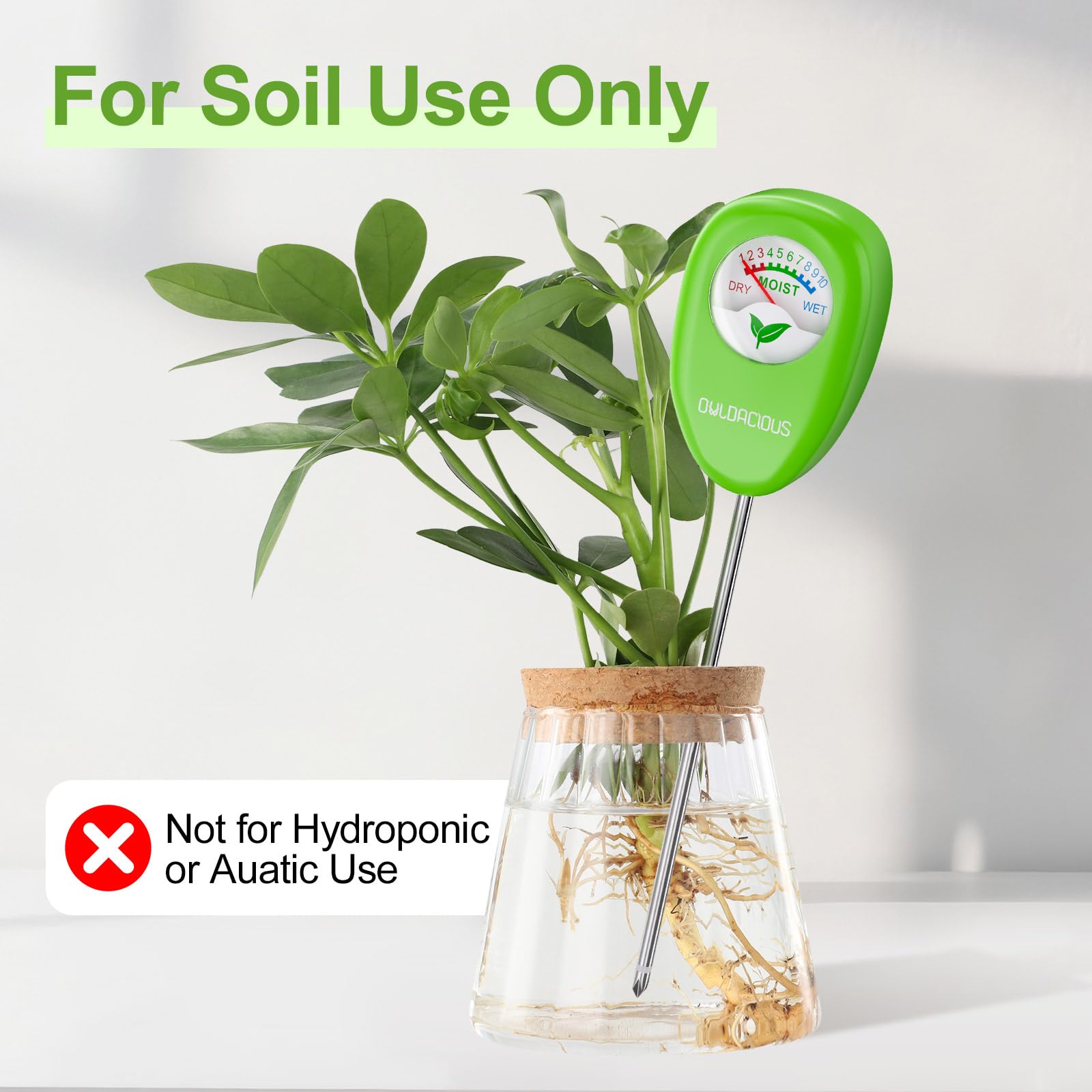 Owldacious no-battery readings provide quick garden checks without power.