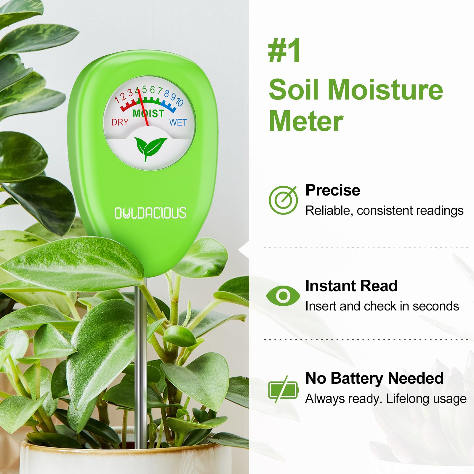 Owldacious pH test strips reveal soil acidity before watering or fertilizing.