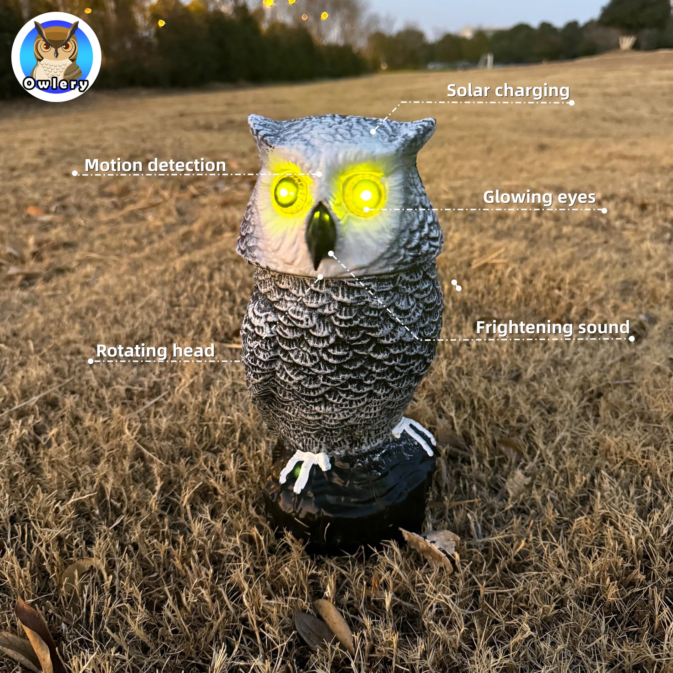 Owlery Snowy Solar Owl shows flashing eyes and head spin for lifelike garden charm.