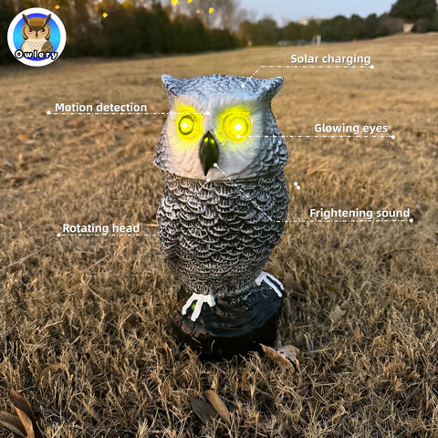 Owlery Snowy Solar Owl shows flashing eyes and head spin for lifelike garden charm.