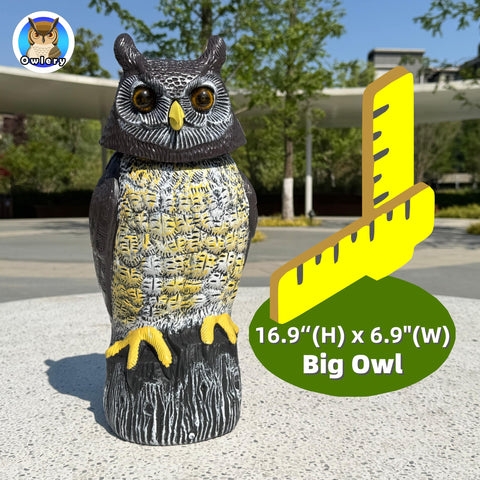 Owlery Solar Owl Guard eyes flashing to deter nocturnal visitors.