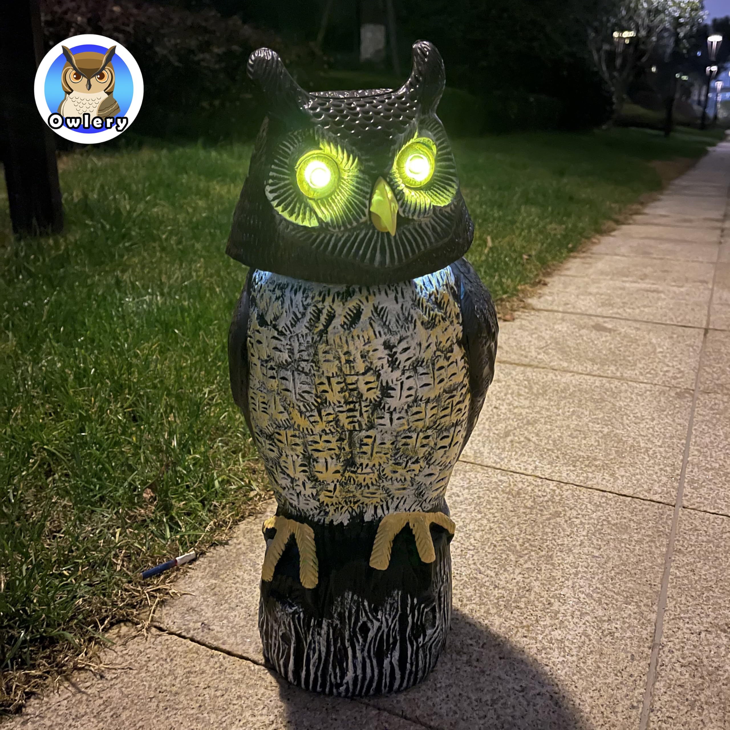Owlery Solar Owl Guard authentic hoots in outdoor settings.