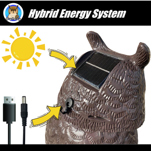 Owlery Solar Owl Guard waterproof shell withstands rain and moisture.