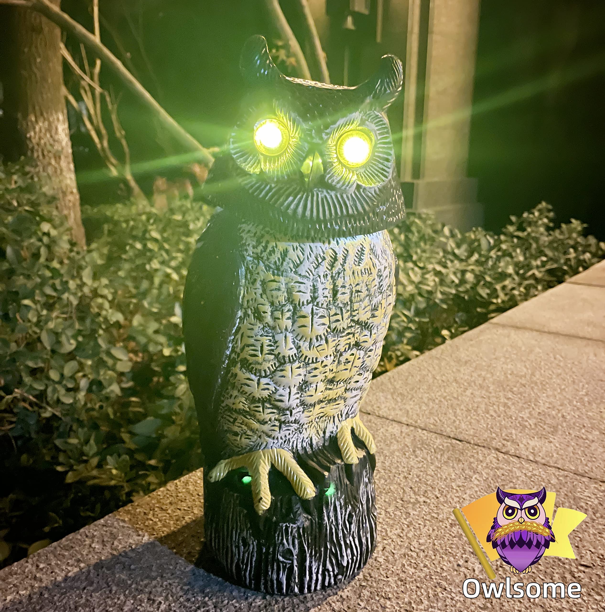 Owlsome Solar Owl motion detector covers up to 20 feet for alert lighting.