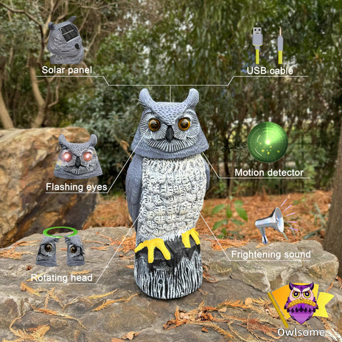 Owlsome solar owl rotating head adds lifelike motion to outdoor decor.