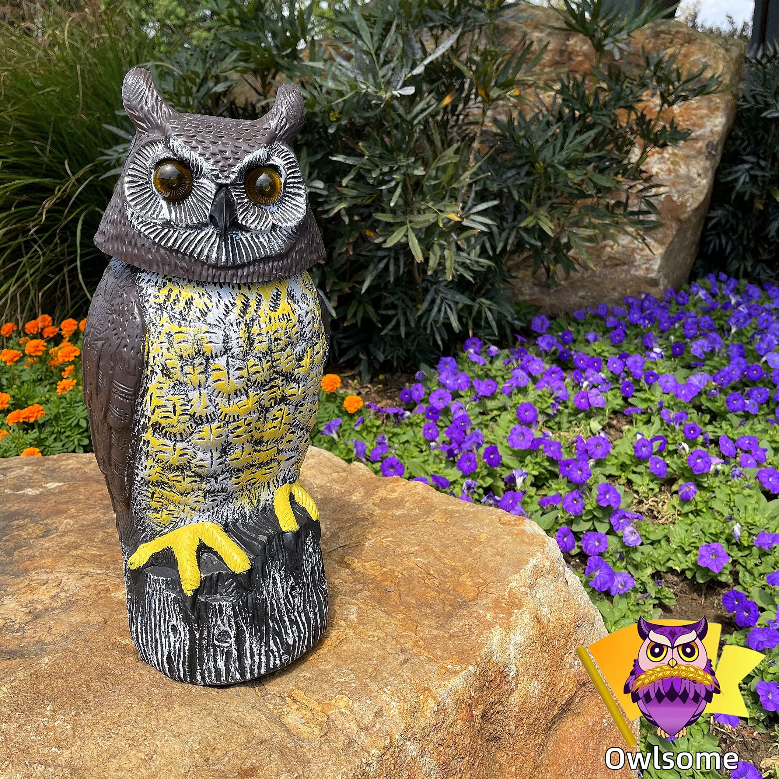 Owlsome Solar Owl silent mode keeps noise down while watching the yard.