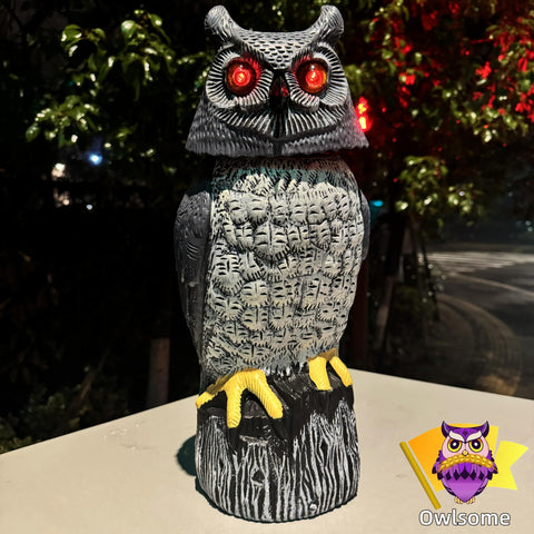 Owlsome solar owl offers silent mode to keep peace in neighborhoods.