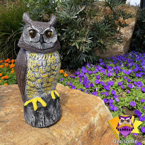 Owlsome Solar Owl silent mode keeps noise down while watching the yard.