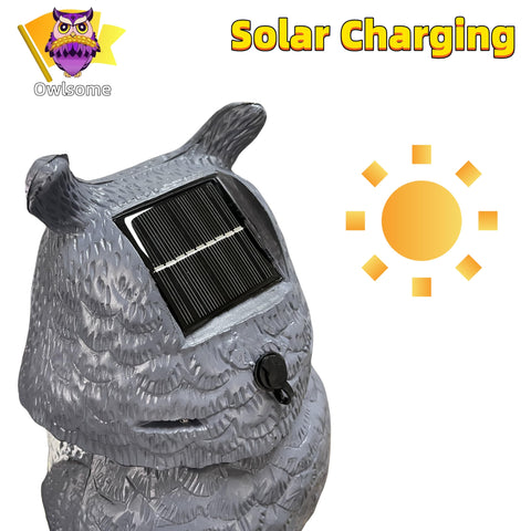 Owlsome solar owl charges by sun or cable for flexible setup.
