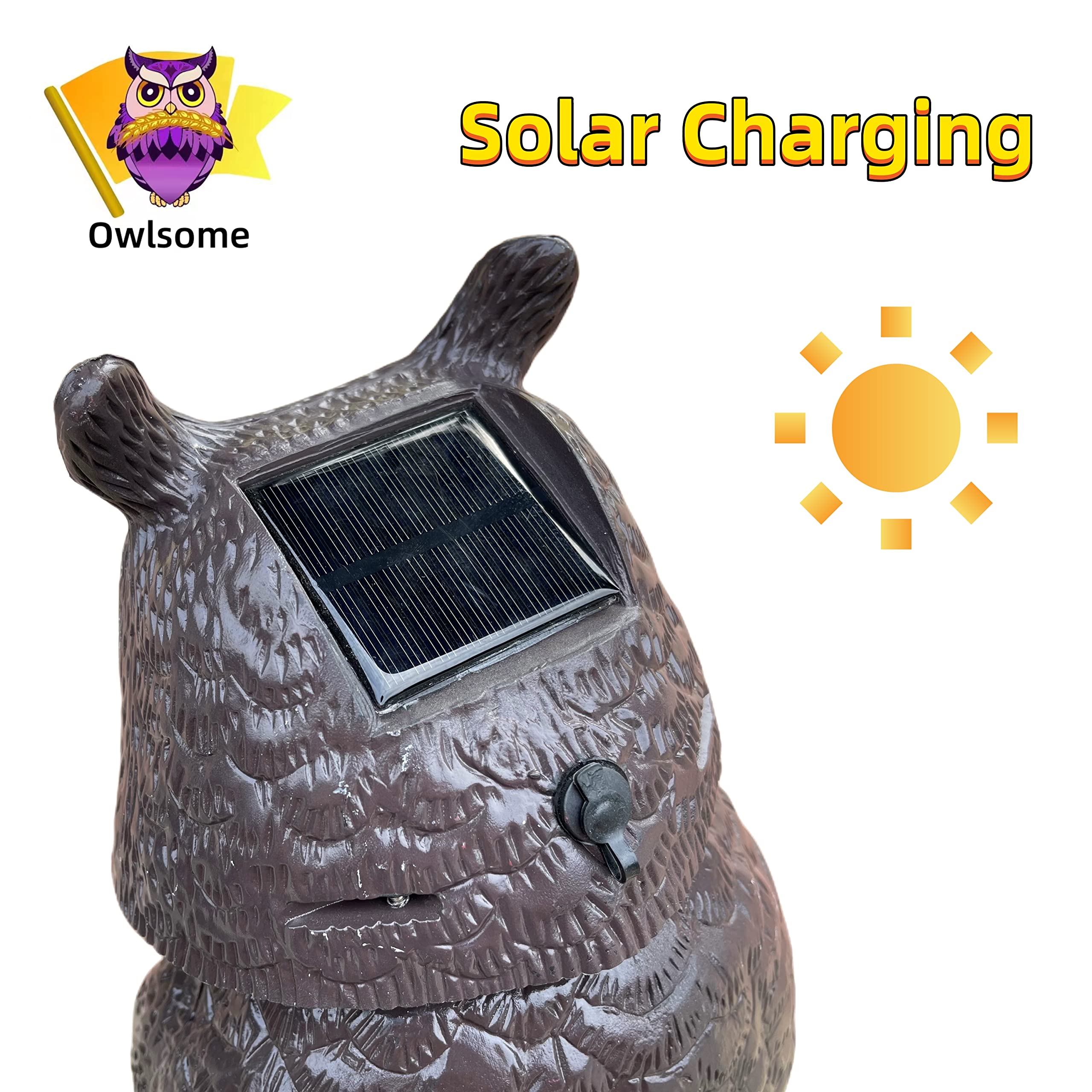 Owlsome Solar Owl waterproof design stands up to rain or shine.