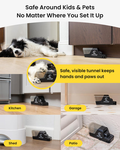 OWLTRA easy-set-up guides baiting, placement, and ready-to-use operation.