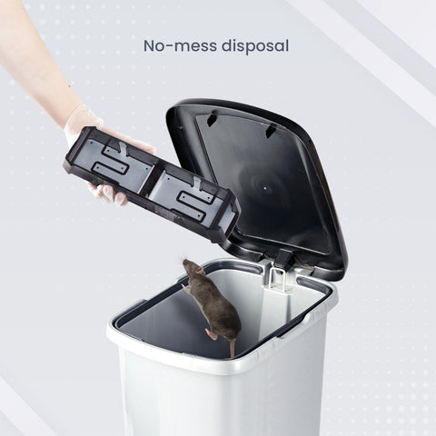 OWLTRA EMZ Plus dual-side-entry design captures rodents from either side
