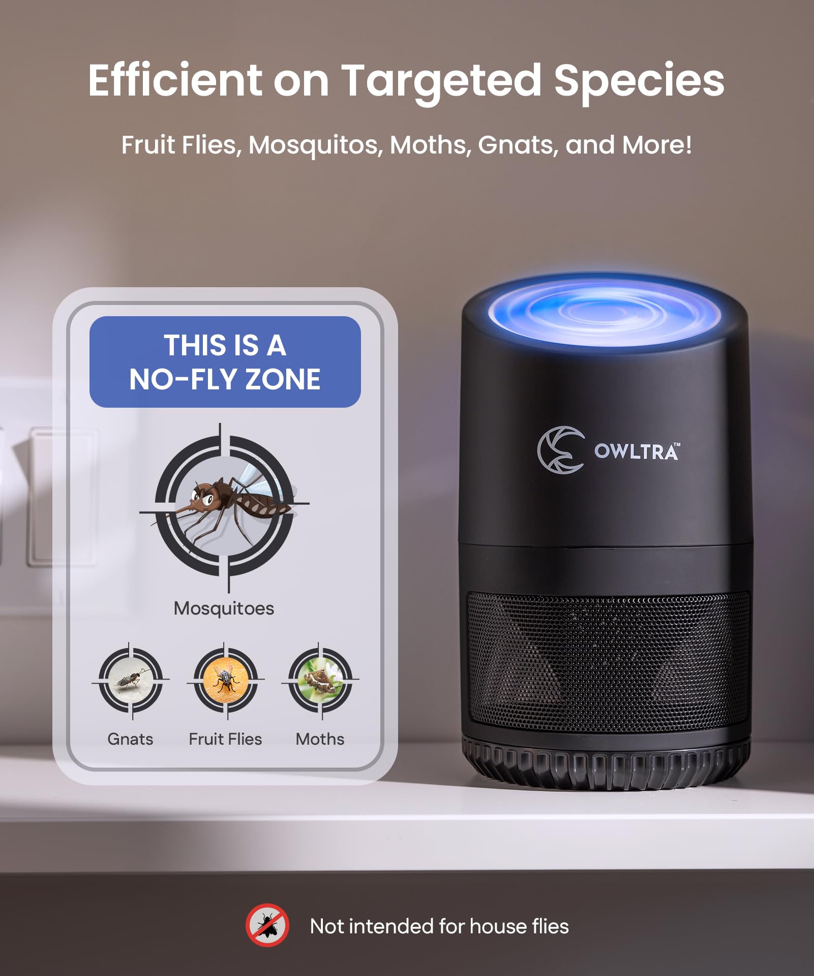 OWLTRA IMT-L70 glue board inside captures insects safely.