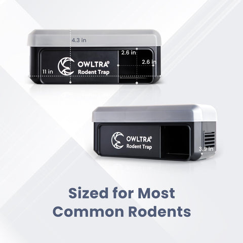 OWLTRA OW-7 outdoor use is supported on a dry surface.