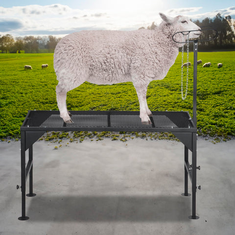 Oxphanor stand ideal for trimming and shearing on farm