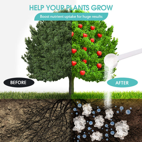 Oycevila long-lasting hydration crystals help prevent overwatering in indoor greenery.