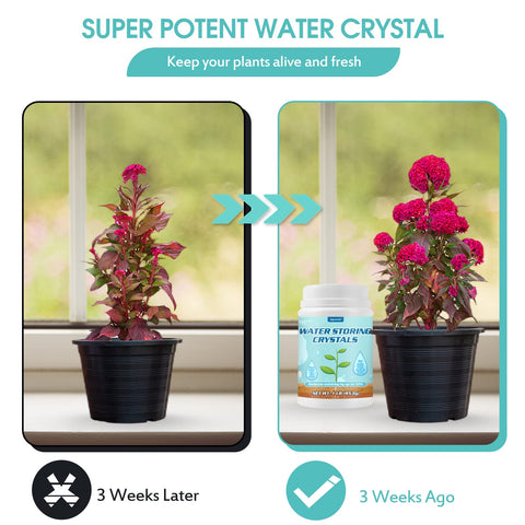 Oycevila water crystals aerate soil, improving root growth in potted plants.