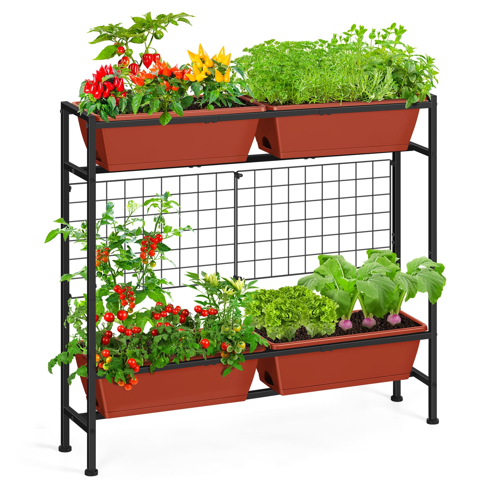 OYEAL raised bed supports tomatoes, strawberries, and vines with trellis.