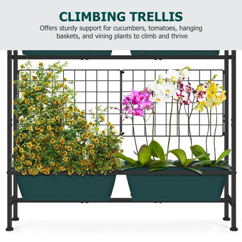 OYEAL trellis supports climbing plants like tomatoes and peppers.