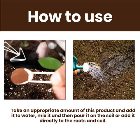 OYEWALLS Yegbong Soil Activator bottle front highlights sustainable organic formula.