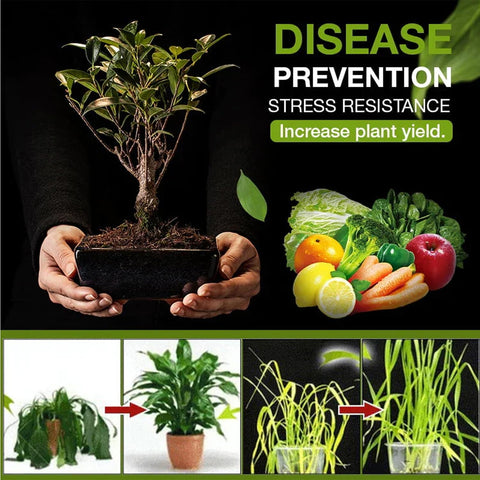 OYEWALLS Yegbong Activator with organic ingredients supports eco-friendly gardening.