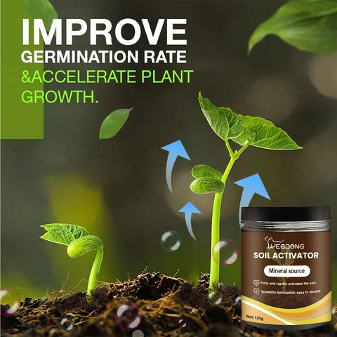 OYEWALLS Yegbong Activator in a vegetable bed promotes faster, healthier growth.