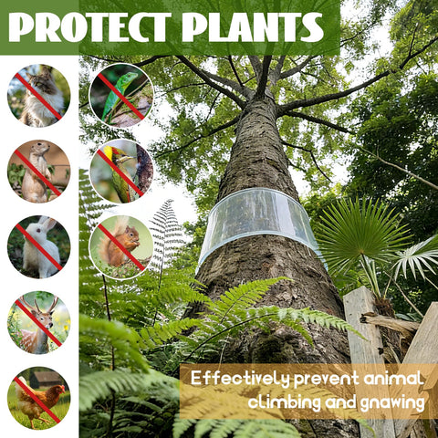 oyhqes Iguana Tree Wrap installed on a tree trunk protecting bark