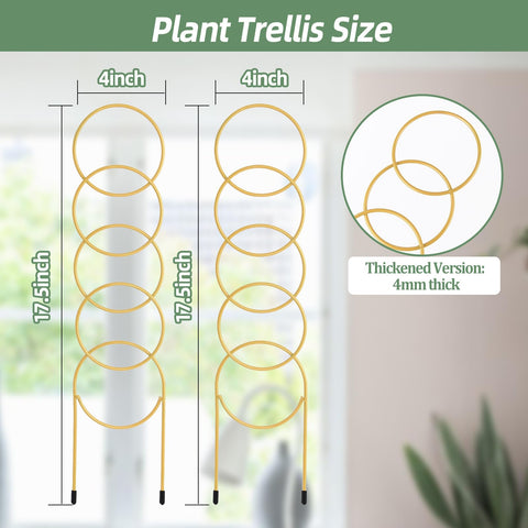 OYOEETD 17.5-inch grid trellis offers upright space for vines