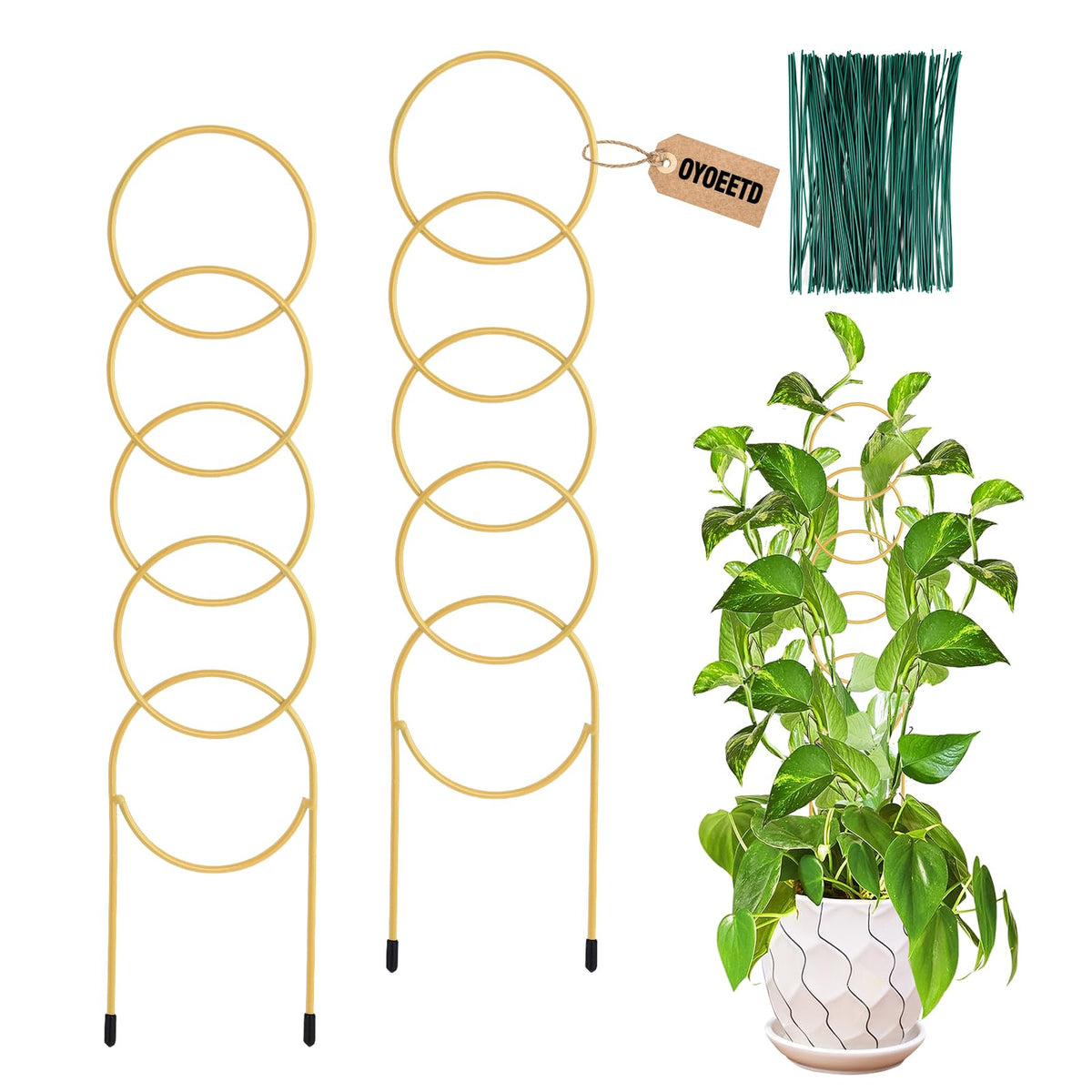 OYOEETD golden metal indoor trellis two-pack supports climbing plants