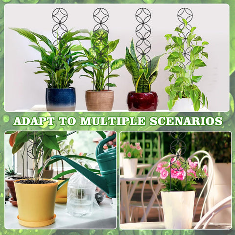 OYOEETD ideal gift for plant lovers and hobbyists.