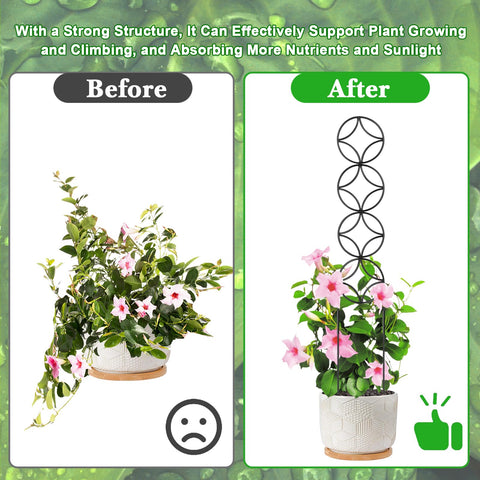 OYOEETD plant-stakes climbing-support helps prevent breakage and guides growth.
