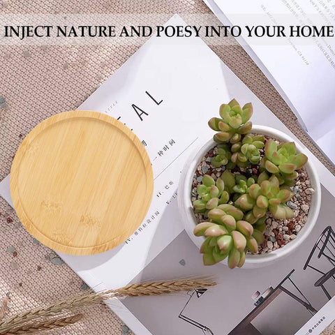 OYSIR slightly raised edge keeps soil spills from reaching furniture.