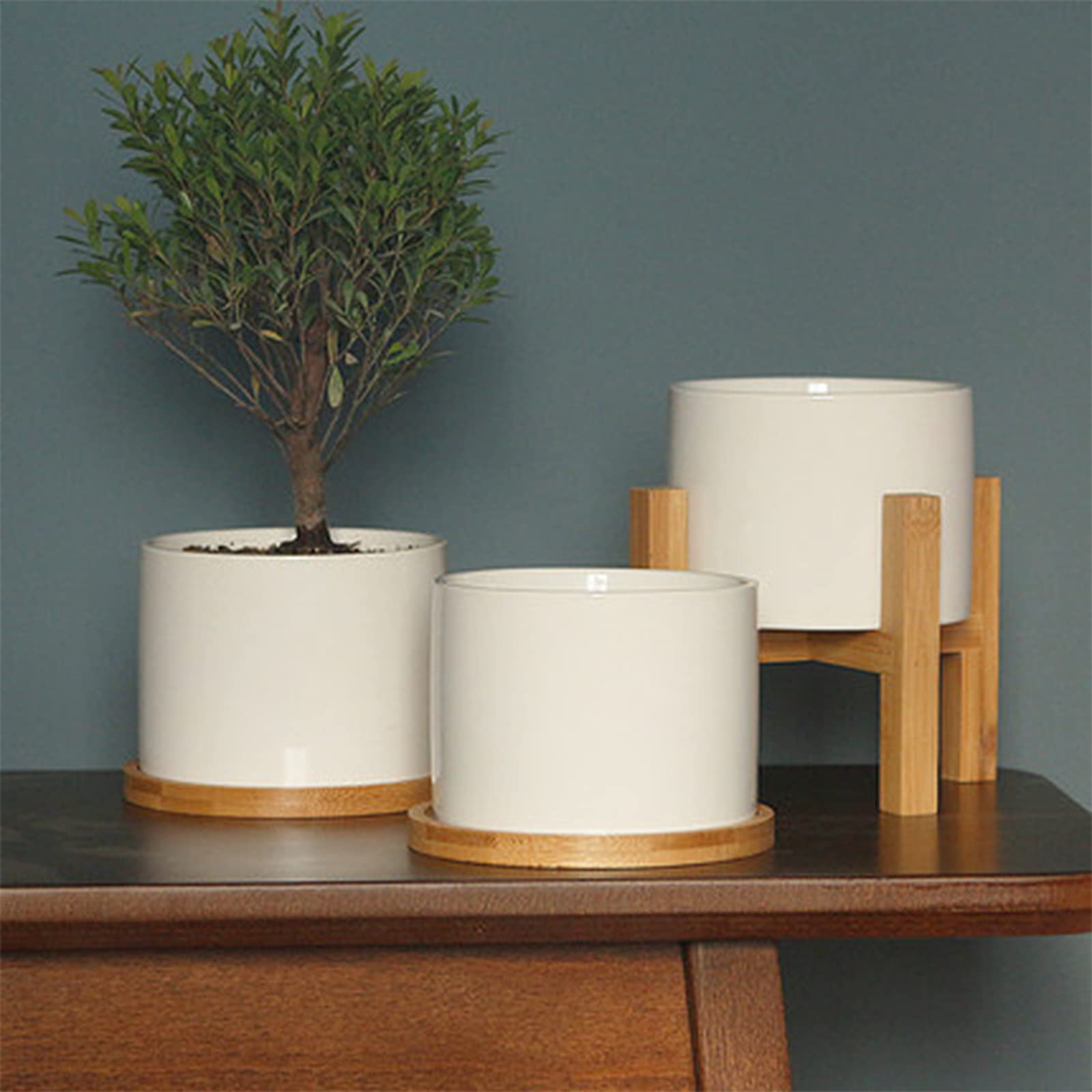 OYSIR 6in round tray complements modern ceramic pots for neat display.