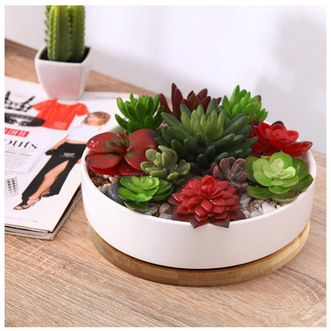 OYSIR round plant saucer 6in safely catches excess water for indoor pots.