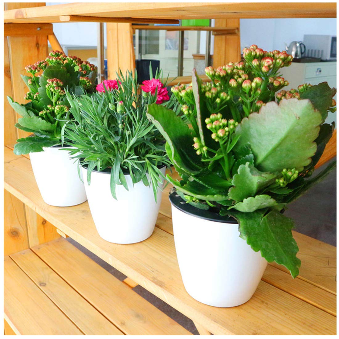 OYSIR white planter closeup with flowers, indicating healthy root-friendly design