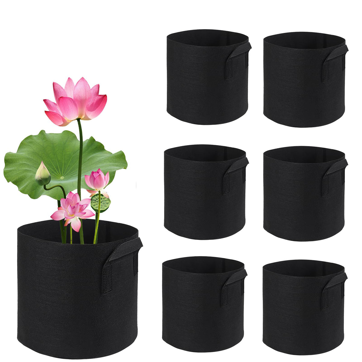 OZIO lily pond pot 1 gal for healthy aquatic plants and easy transplantation.