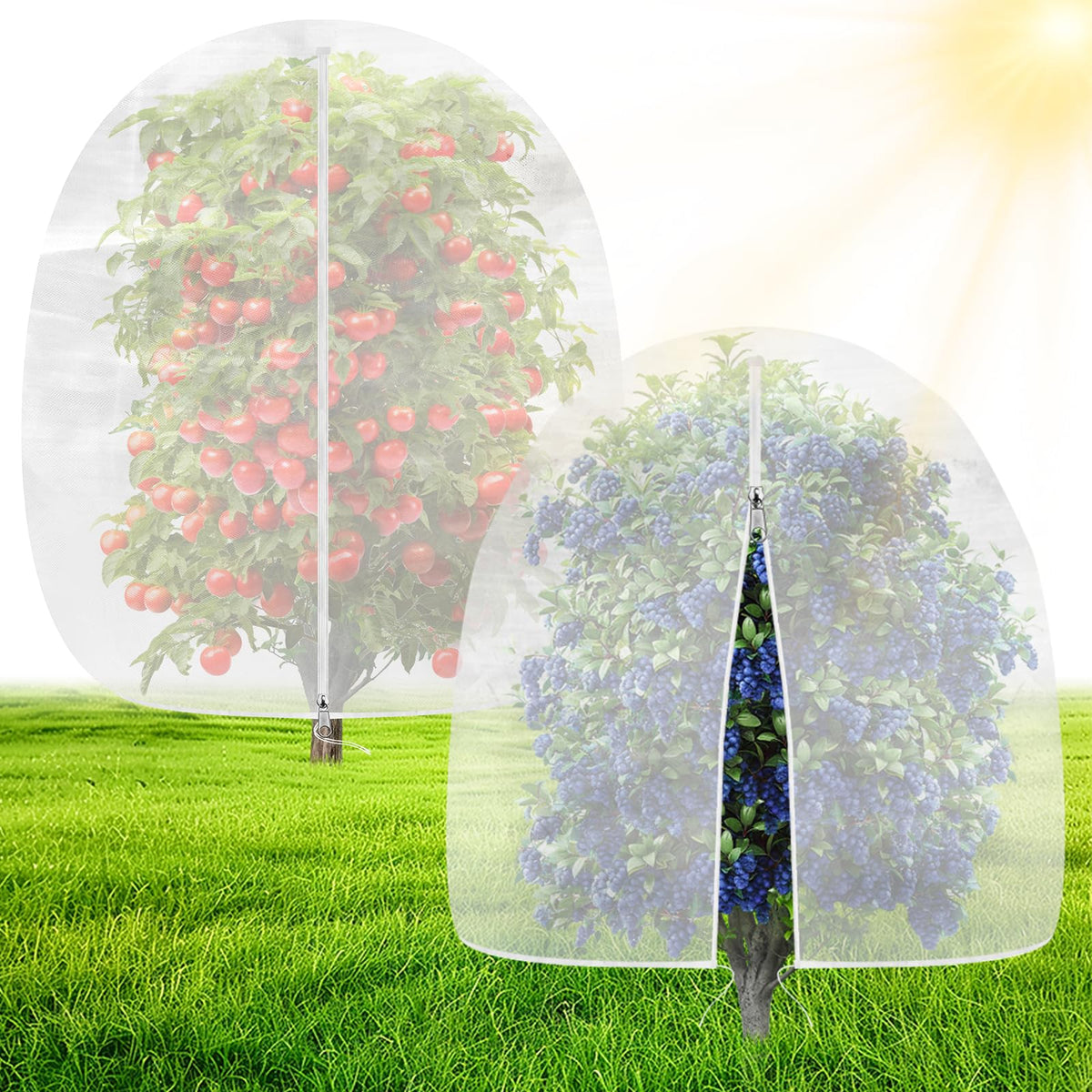 OZMI Bird Netting 4x4 ft blue cover protecting a blueberry bush with birds nearby