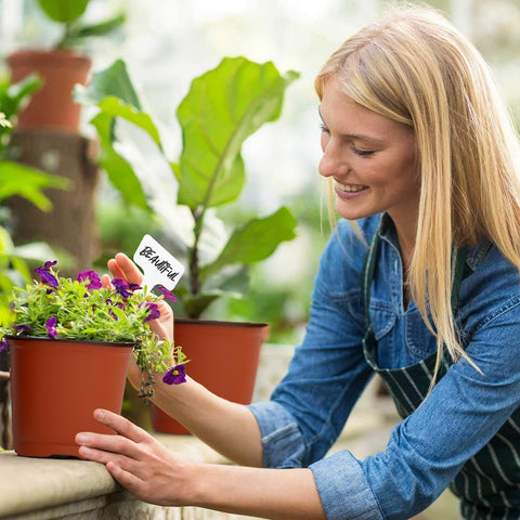 OZOSHINE red exterior nursery pot aesthetic and protective for young plants.