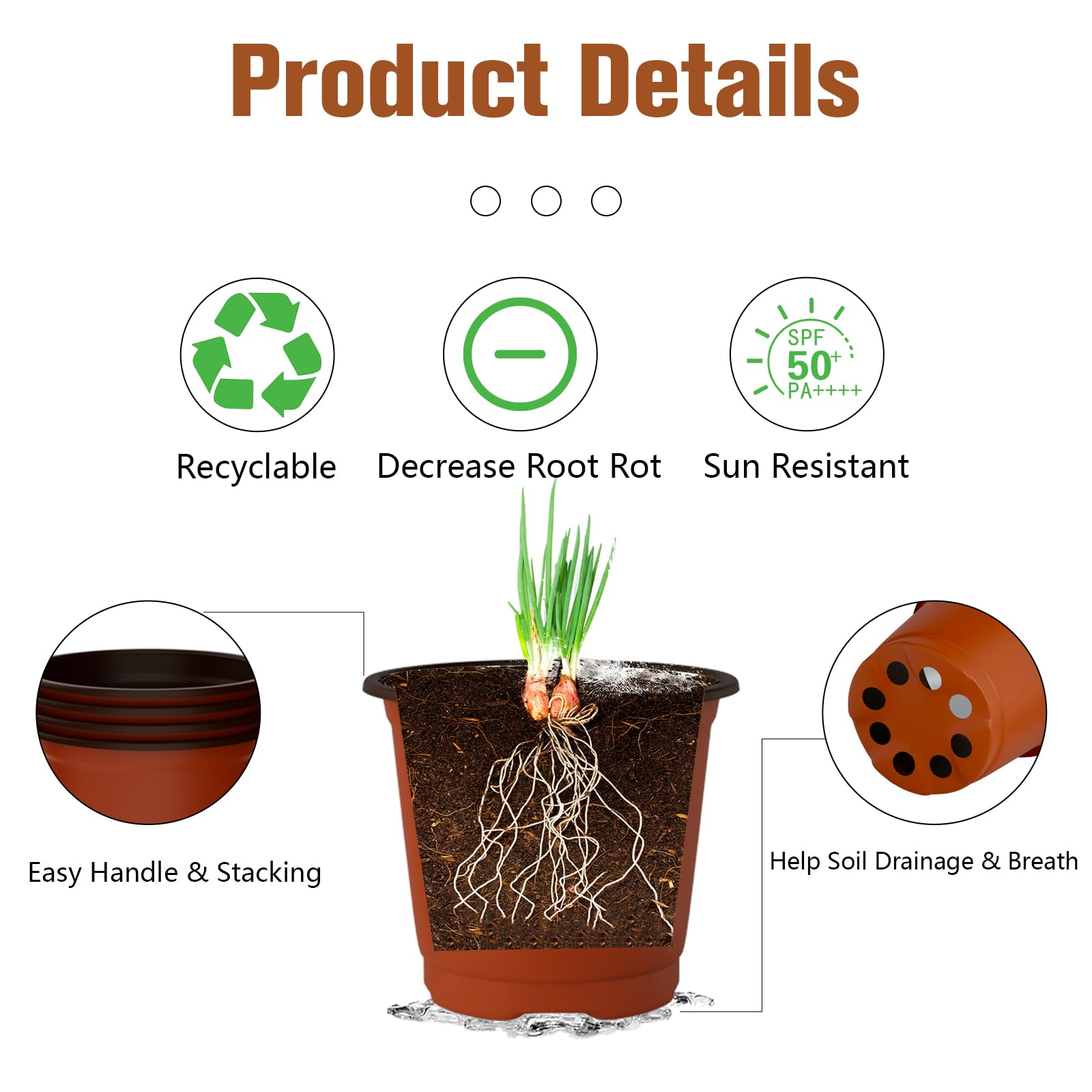 OZOSHINE succulent propagation pot provides safe starter environment.